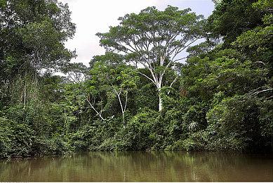 《仙剑客栈2》御灵玩法介绍：能处理事故增加小费